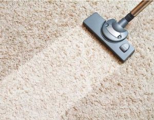 best carpet cleaning services in Alkimos