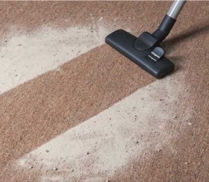 carpet odour removal in Bayswater