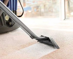 Carpet Cleaning Services in Bayswater