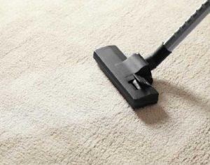Affordable Carpet Cleaners in Bayswater